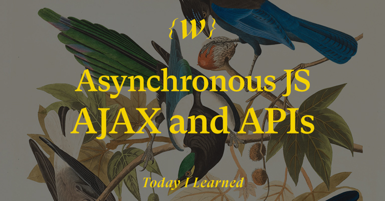 자바스크립트의 비동기 처리와 AJAX, API 개념의 이해